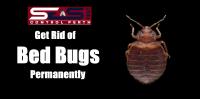 SES Bed Bugs control Perth image 5